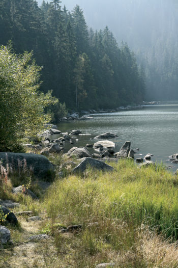 Plešné jezero