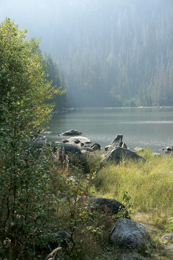 Plešné jezero 3