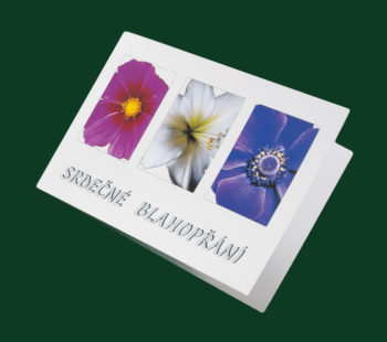 Blahopřání - Květiny