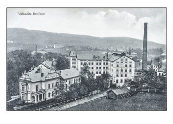 Brněnec