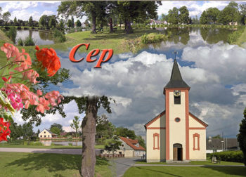 Cep