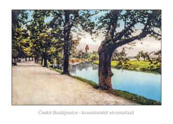 České Budějovice - Krumlovské stromořadí