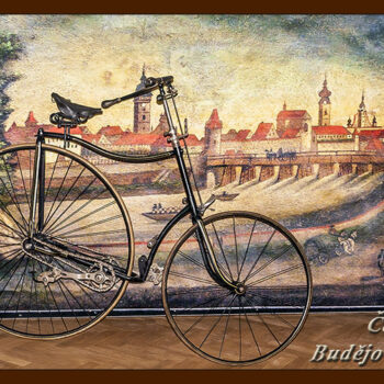 České Budějovice s kolem