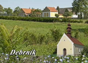Debrník