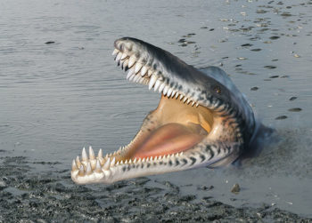 Dinosaurus 4