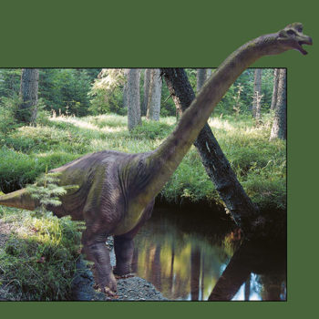 Dinosaurus 5