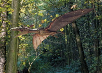 Dinosaurus 6