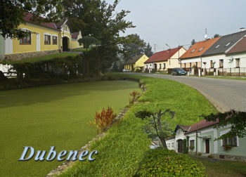 Dubenec