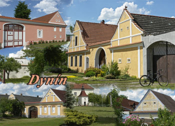 Dynín