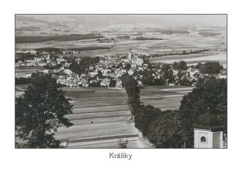 Králíky