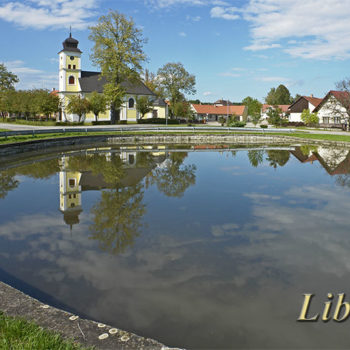Libín