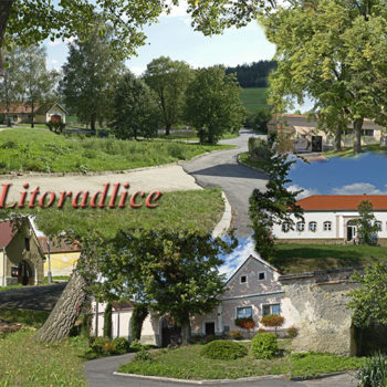 Litoradlice