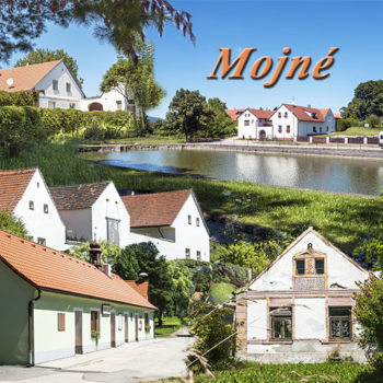Mojné
