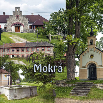 Mokrá  (u Černé v Pošumaví)