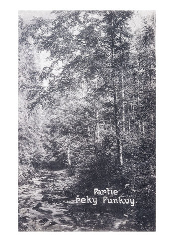 Partie řeky Punkvy