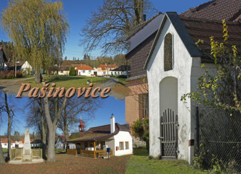 Pašinovice