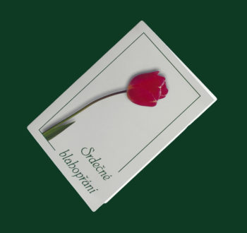 Blahopřání - Tulipán