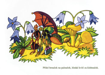 Přišel brouček na palouček