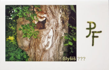 PF - slyšíš?