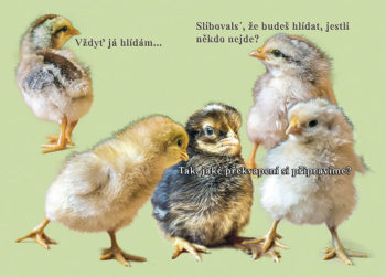Spiklenci