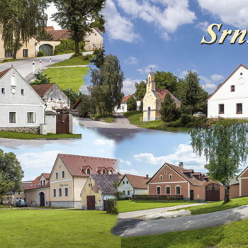 Srnín