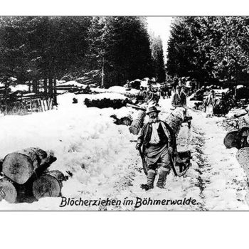 Šumava - svážení dřeva