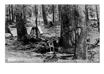 Šumava - u pramene Vltavy