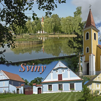 Sviny