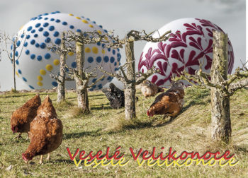 Veselé Velikonoce - slepice