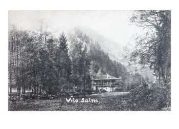 Vila Salm