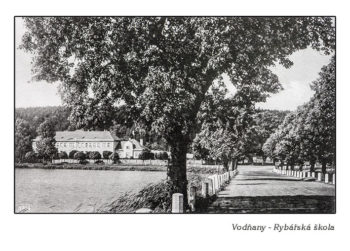 Vodňany - rybářská škola