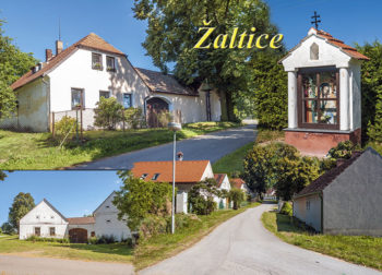 Žaltice