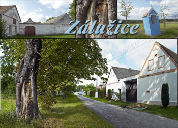 Zálužice
